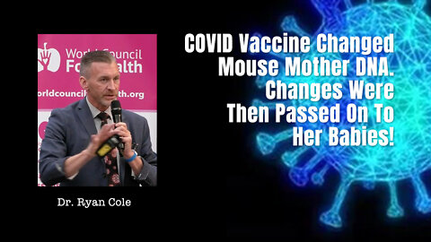 COVID Vaccine Changed Mouse Mother DNA. Changes Were Then Passed On To Her Babies!