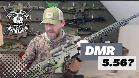 Designated Marksman Rifle (DMR) 5.56?