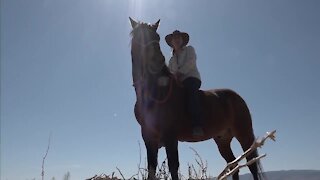 Nevada woman embarking on 550-mile horse ride