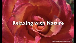 Relax with Nature (Movie)