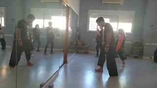 Tai chi clase completa, Shibashi set 2 y bella dama