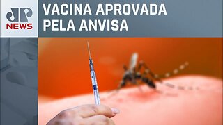 Saúde estuda inclusão da vacina contra dengue no SUS