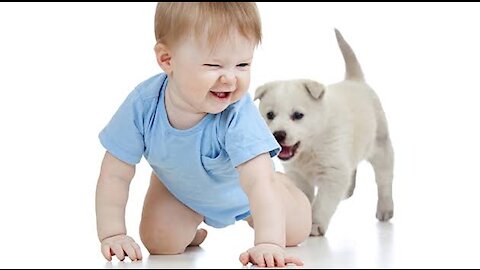 Dog teaches baby to crawl (2021)