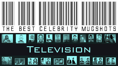 The Best Celebrity Mugshots - TELEVISION