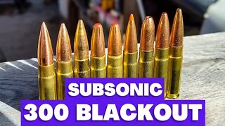 300 Blackout - Ultimate Subsonic Ammo Test!!!