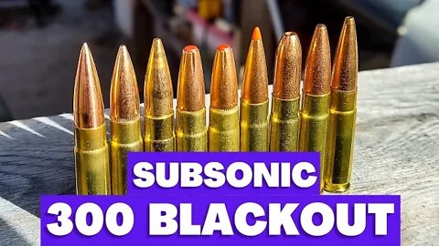 300 Blackout - Ultimate Subsonic Ammo Test!!!