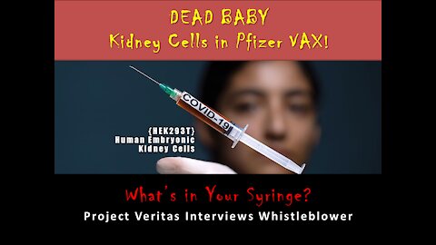 Dead Baby Kidney Cells in Pfizer Vaccine!!!!