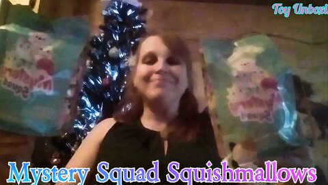 X2 Mystery Squad Squishmallows