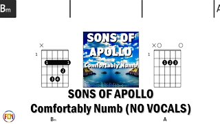 SONS OF APOLLO Comfortably Numb FCN GUITAR CHORDS & LYRICS NO VOCALS