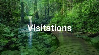 Visitations