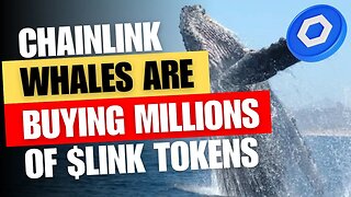 Chainlink News Today | Chainlink Whales Are Going Crazy | Whales Are Scooping Up All the LINK Tokens