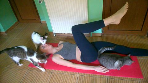 Woman Documents The Difficulty Of Working Out With Cats