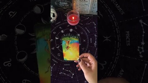 Libra ♎️ New Moon / Solar Eclipse in Scorpio 🌑♏️