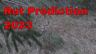 2023 Rut Prediction