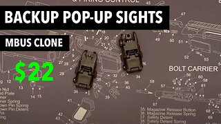 MBUS clone backup sights