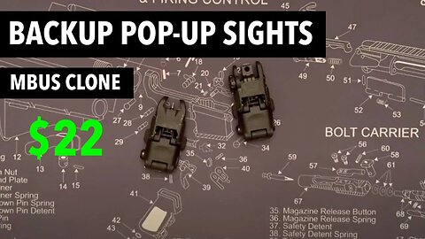 MBUS clone backup sights