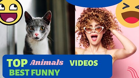 Funny animals videos clips, very funny 😄animals, videos funny 😄animals youtube, 😄dogs, cats funny