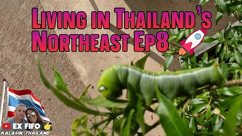 Living in Thailand's Northeast ep8