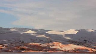 珍しい気象現象のあとの雪で覆われたサハラ砂漠