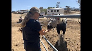 Rebuilding the Jamul horse rescue that burned in the Valley Fire