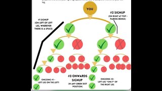 How to Place members in Tree