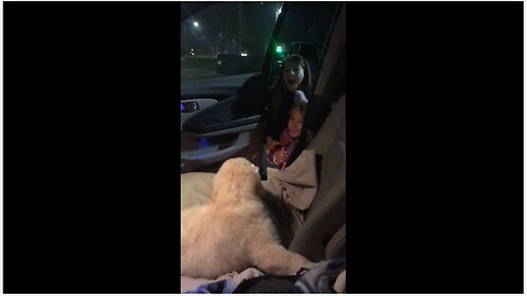 Dad surprises daughters with Christmas puppy