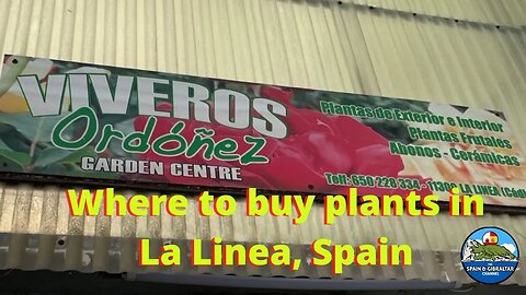 Plant Lover's Paradise: Exploring La Linea, Spain's Nurseries and Garden Centers