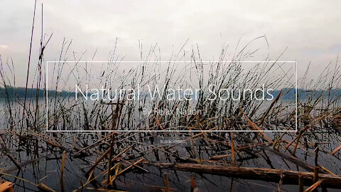 Natural Lake Water Sounds for Sleep or Relaxation - White Noise Stream