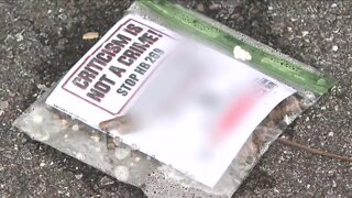 'I just don’t like it': Antisemitic flyers found in driveways of Lake Park, Riviera Beach homes