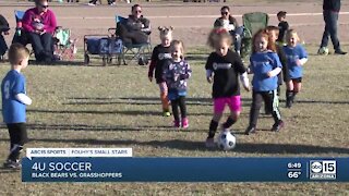 Fouhy's Small Stars: 4U soccer Black Bears vs. Grasshoppers