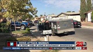 Dogs attack woman in front yard