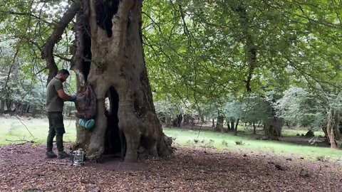 Tree hole shelter/6