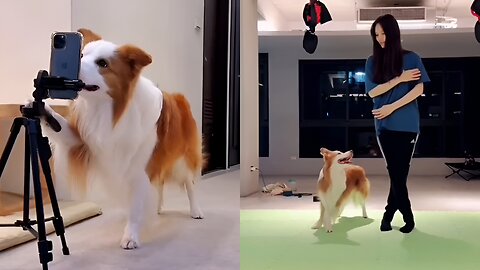 Funny dog dancing with your owner & shooting with camera..😲😲