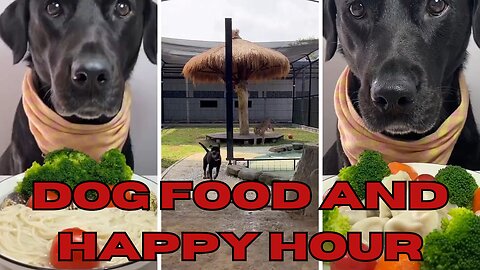 Best &amp; Worst Dog food and happy hour Trends