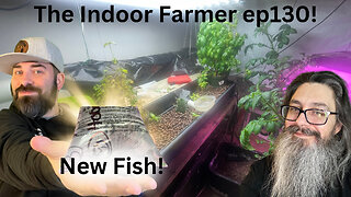 The Indoor Farmer ep130! Lots Of New growth This Week! Siirtified Seeds Started As Well!