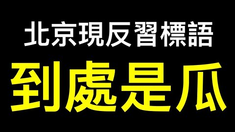 北京驚現反習標語喜迎二十大！廣東公开拒絕賦碼,庫爾勒到處都是瓜！