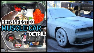 Deep Cleaning The NASTIEST Dodge Challenger Ever | Insanely Satisfying Car Detailing Transformation!