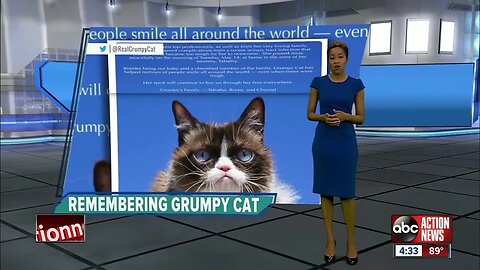 Social media star 'Grumpy Cat' dies at age 7