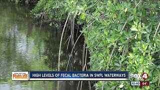 High levels of fecal bacteria found in Estero waterways