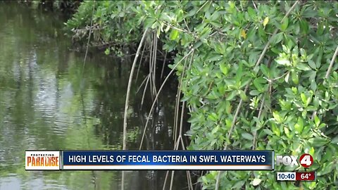 High levels of fecal bacteria found in Estero waterways