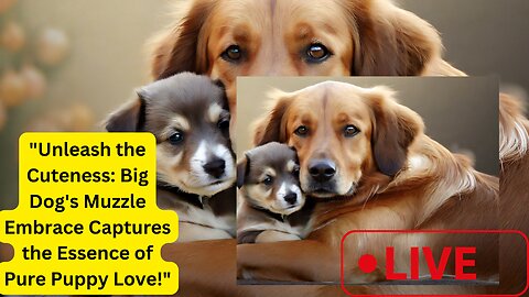 Heartwarming Bond: Big Dog Adorably Embraces Little Pup in Full Muzzle Hug!"