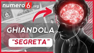 Ghiandola Pineale: non stai sfruttando al 100% la tua mente