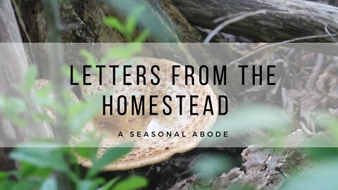 Letters from the Homestead | Episode 1 || Slow Living | Homesteading Family | Homestead