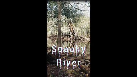 Jeep XJ Withlacoochee Spooky River in Central Florida Cool Place #shorts