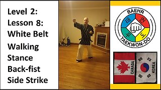 Baehr Taekwondo: 02-08: Yellow Stripe: Walking Stance - Back-fist Side Strike