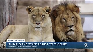 Zoo animals adjust to closure