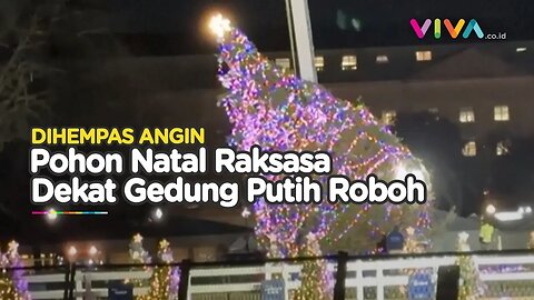 Pohon Natal Nasional Gedung Putih 'Oleng' Ditiup Angin