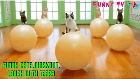 Funny Cats,😹 Workout. Laugh with tears 😂