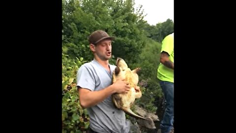 He Tried to Kiss a Snapping Turtle