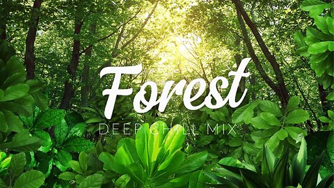 Forest | Deep Chill Mix